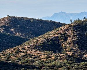 Preview wallpaper mountains, hill, cacti, grass