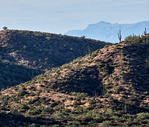 Preview wallpaper mountains, hill, cacti, grass