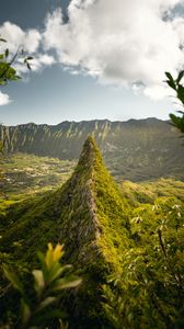 Preview wallpaper mountains, hill, grass, branches, sky