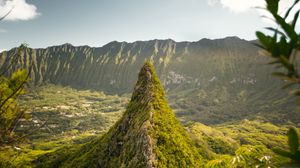 Preview wallpaper mountains, hill, grass, branches, sky