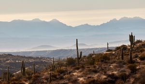 Preview wallpaper mountains, hills, cacti, bushes, fog