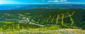 Preview wallpaper mountains, hills, flowers, grass, forest, greenery