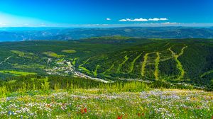 Preview wallpaper mountains, hills, flowers, grass, forest, greenery