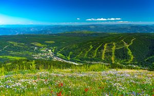 Preview wallpaper mountains, hills, flowers, grass, forest, greenery