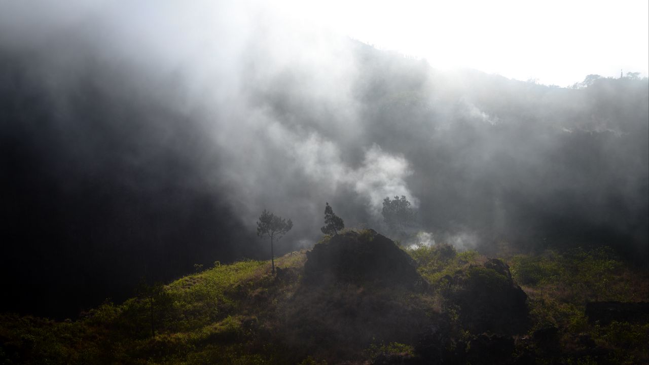 Wallpaper mountains, hills, fog, trees, nature