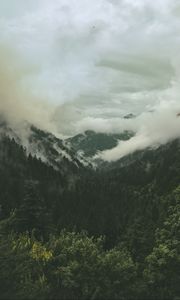 Preview wallpaper mountains, hills, forest, clouds, landscape, nature