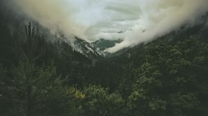 Preview wallpaper mountains, hills, forest, clouds, landscape, nature