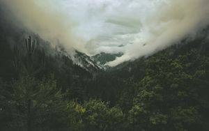 Preview wallpaper mountains, hills, forest, clouds, landscape, nature