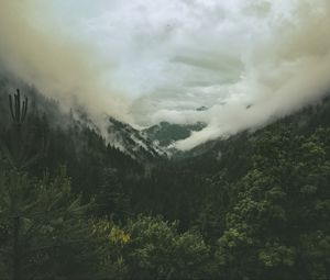 Preview wallpaper mountains, hills, forest, clouds, landscape, nature