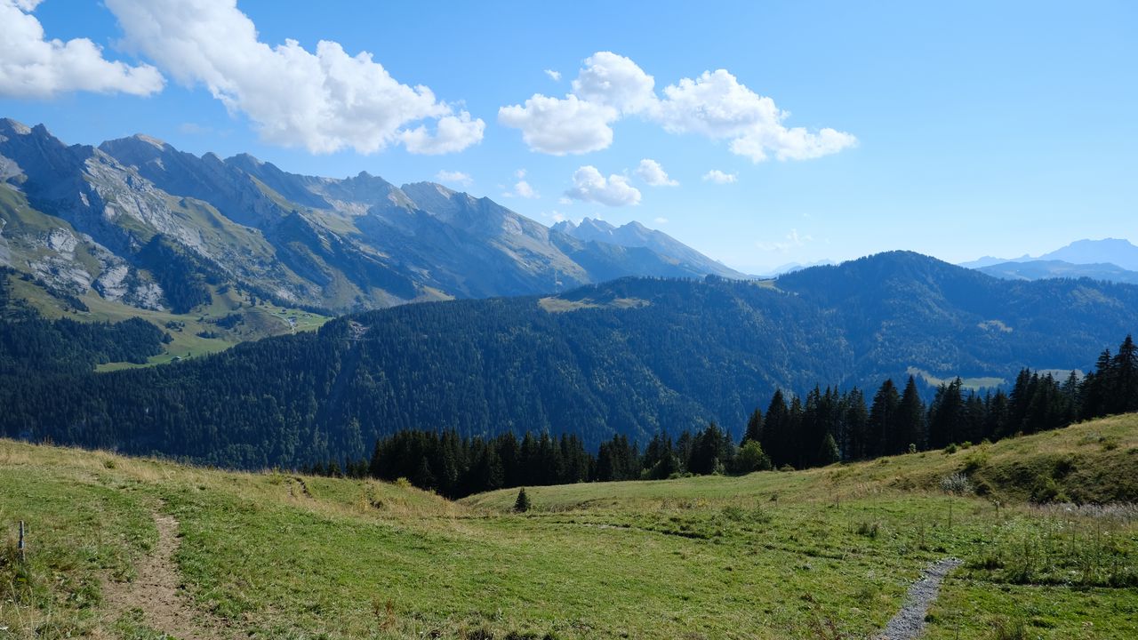 Wallpaper mountains, hills, forest, trees, landscape