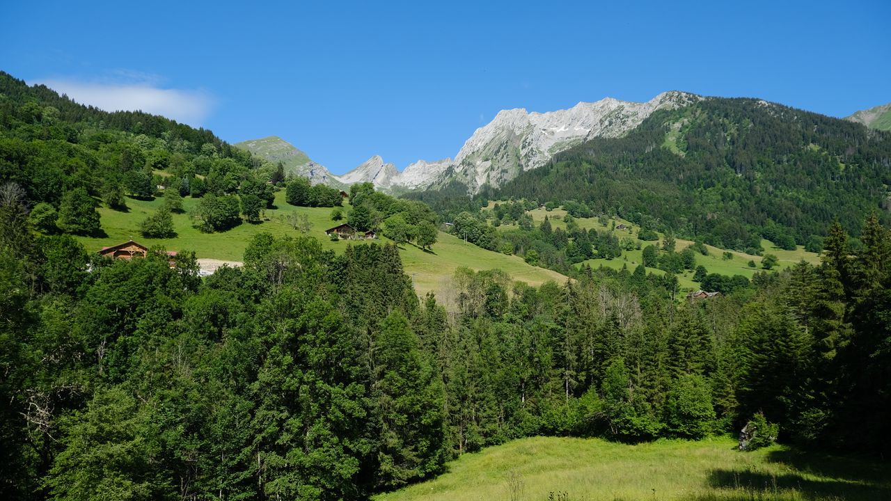 Wallpaper mountains, hills, forest, nature, landscape