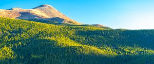 Preview wallpaper mountains, hills, forest, trees, houses, landscape, aerial view