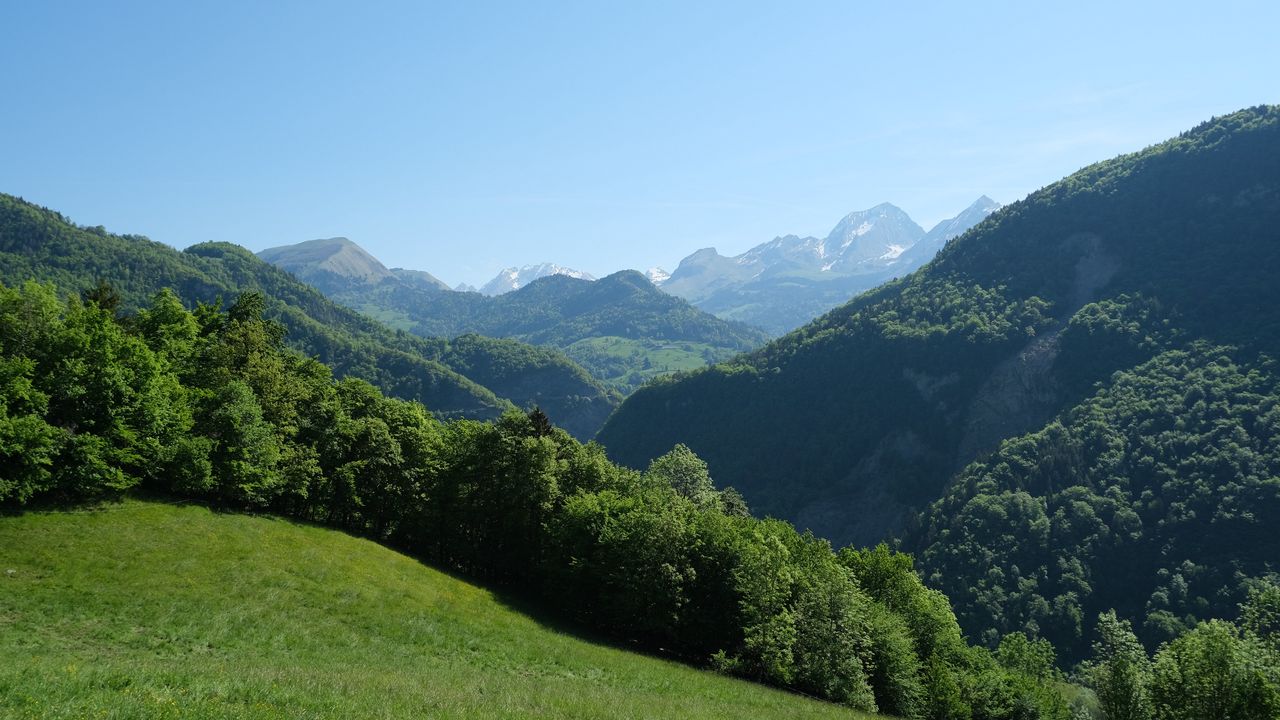Wallpaper mountains, hills, forest, slope, grass