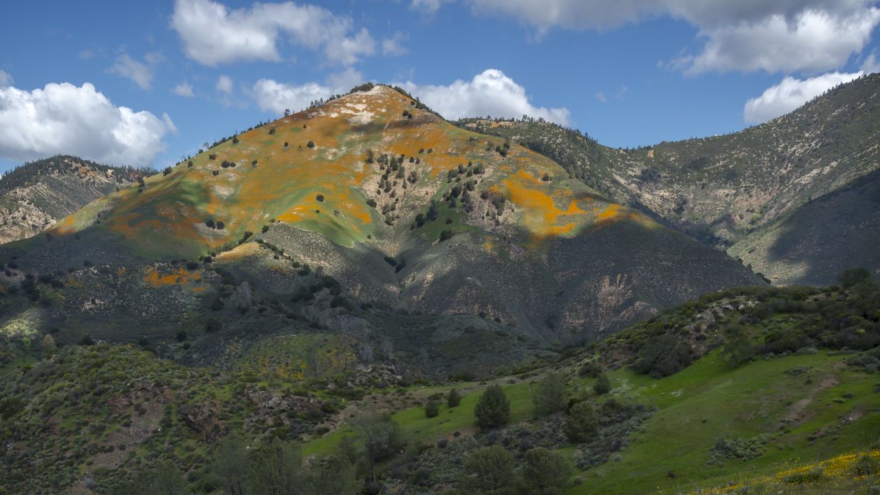 Wallpaper mountains, hills, grass, flowers, landscape