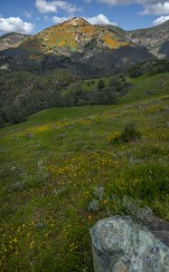 Preview wallpaper mountains, hills, grass, flowers, landscape