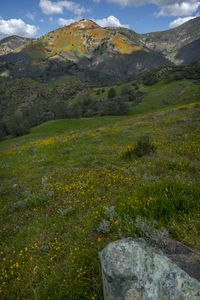 Preview wallpaper mountains, hills, grass, flowers, landscape