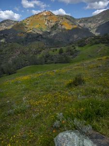Preview wallpaper mountains, hills, grass, flowers, landscape