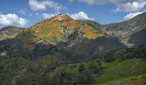 Preview wallpaper mountains, hills, grass, flowers, landscape