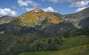 Preview wallpaper mountains, hills, grass, flowers, landscape