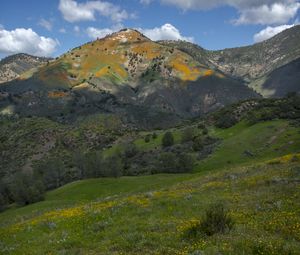 Preview wallpaper mountains, hills, grass, flowers, landscape