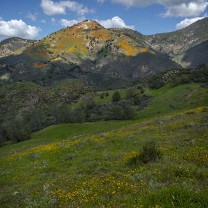 Preview wallpaper mountains, hills, grass, flowers, landscape