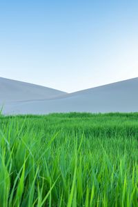 Preview wallpaper mountains, hills, meadow, grass, landscape, green