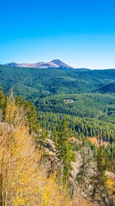 Preview wallpaper mountains, hills, relief, trees, landscape, aerial view