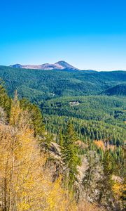 Preview wallpaper mountains, hills, relief, trees, landscape, aerial view