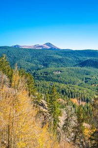 Preview wallpaper mountains, hills, relief, trees, landscape, aerial view