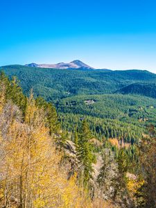 Preview wallpaper mountains, hills, relief, trees, landscape, aerial view