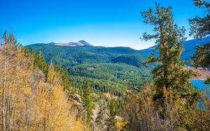 Preview wallpaper mountains, hills, relief, trees, landscape, aerial view