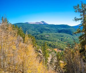 Preview wallpaper mountains, hills, relief, trees, landscape, aerial view