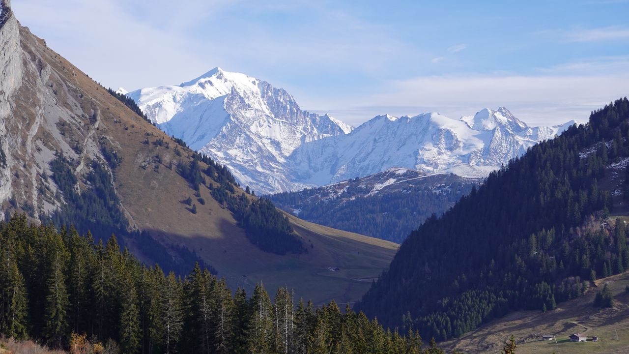 Wallpaper mountains, hills, snow, forest, trees, nature