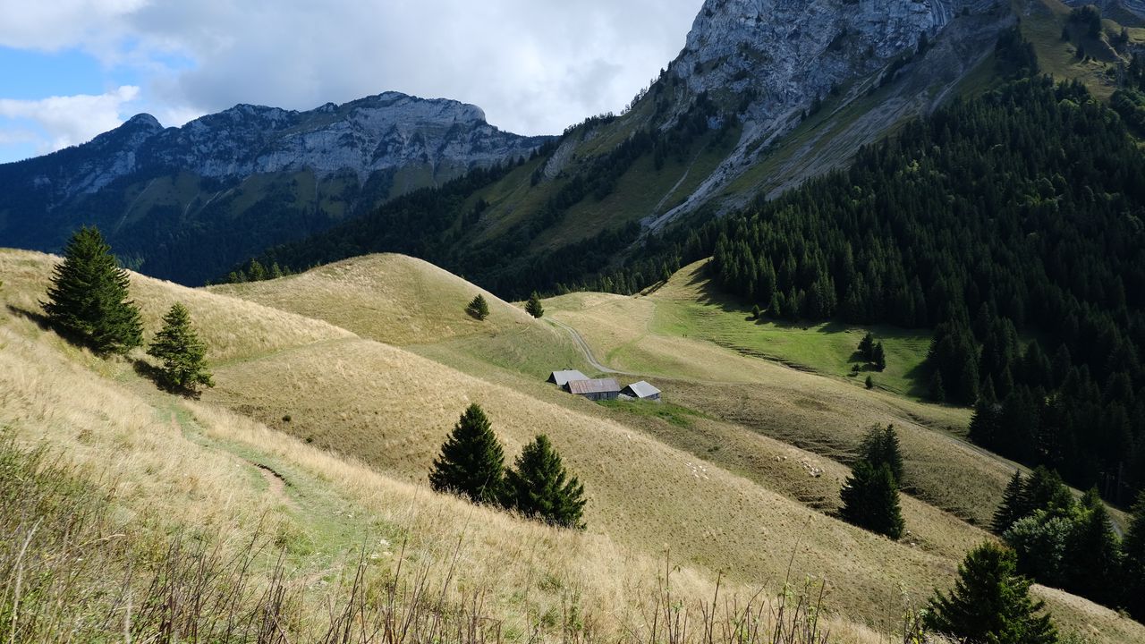 Wallpaper mountains, hills, trail, trees, grass, landscape