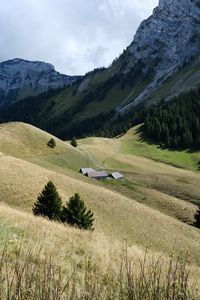 Preview wallpaper mountains, hills, trail, trees, grass, landscape
