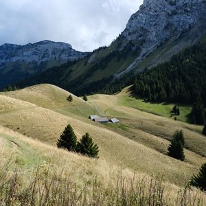 Preview wallpaper mountains, hills, trail, trees, grass, landscape