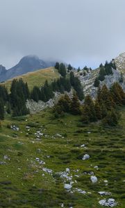 Preview wallpaper mountains, hills, trees, fog, stones, grass, nature