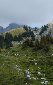 Preview wallpaper mountains, hills, trees, fog, stones, grass, nature