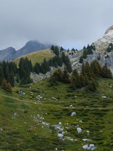Preview wallpaper mountains, hills, trees, fog, stones, grass, nature