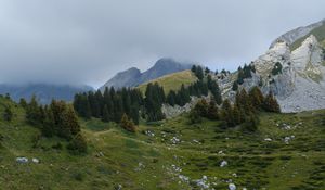 Preview wallpaper mountains, hills, trees, fog, stones, grass, nature