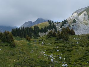 Preview wallpaper mountains, hills, trees, fog, stones, grass, nature