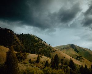 Preview wallpaper mountains, hills, trees, slopes, landscape