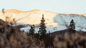 Preview wallpaper mountains, hills, trees, bushes, landscape