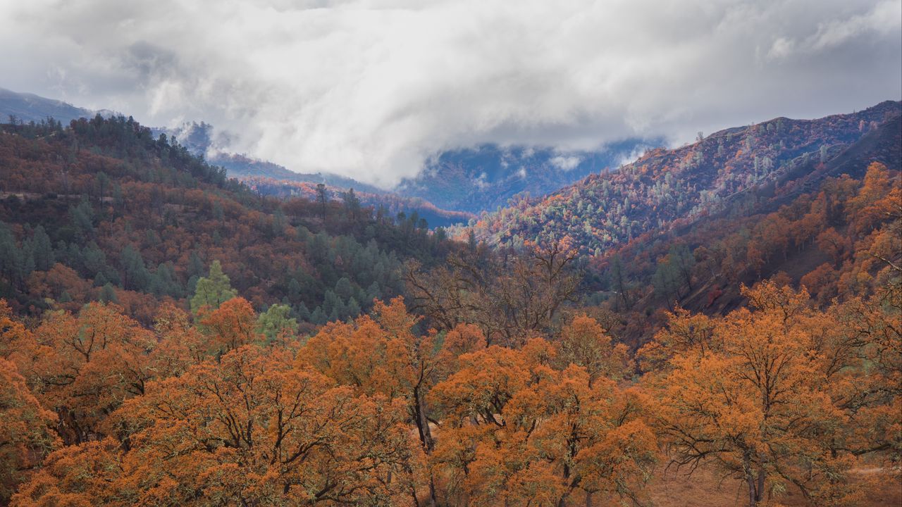 Wallpaper mountains, hills, trees, clouds, landscape