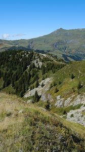 Preview wallpaper mountains, hills, trees, landscape, aerial view