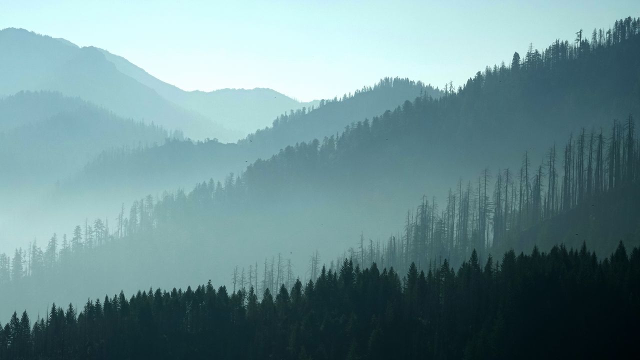 Wallpaper mountains, hills, trees, forest, fog, dark