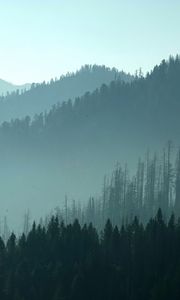 Preview wallpaper mountains, hills, trees, forest, fog, dark