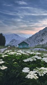 Preview wallpaper mountains, house, flowers, landscape, summer