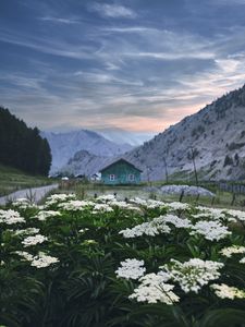Preview wallpaper mountains, house, flowers, landscape, summer