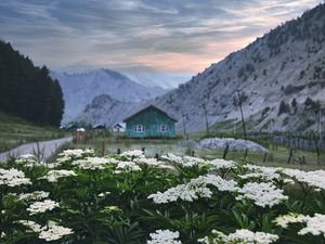 Preview wallpaper mountains, house, flowers, landscape, summer